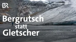 Aufgeheizte Berge: Was passiert in den Alpen? | Klimawandel | Artenvielfalt | Unkraut | Doku | BR