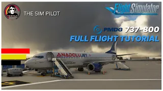 MSFS | Full Flight Tutorial | PMDG Boeing 737-800 | LTFJ - LTAI