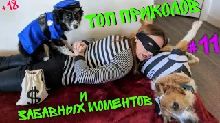 ТОП ПРИКОЛЫ ЛУЧШИЕ НЕ ДЕТСКИЕ ПРИКОЛЫ +18 TOP FUN 2019 2020 BEST COUB УГАР РЖАКА СМЕШНЫЕ МОМЕНТЫ #11