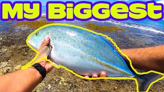 Fishing at Disney in Hawaii | Live Bait From Shore | Fishing in Hawaii | Hawaii Fishing | Papio