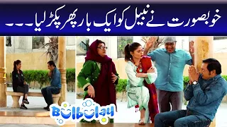 Bulbulay | Momo | Mehmood Sahab | Nabeel Khoobsurat