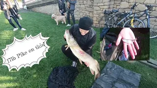 17lb Pike on sprat! October 2022 (subtitles added)