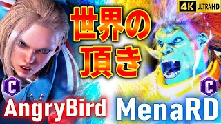 【SF6】 AngryBird (Cammy) vs MenaRD (Blanka)