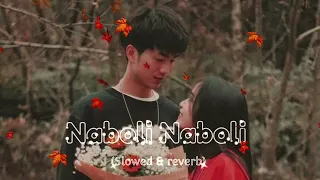 Naboli Naboli ( Slowed & reverb ) Prabin Bedwal & Samikshya Adhikari || S l o w e d Nepal
