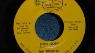 The Edicates - She's Gone
