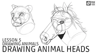 Drawabox Lesson 5, Drawing Animals: Drawing Animal Heads