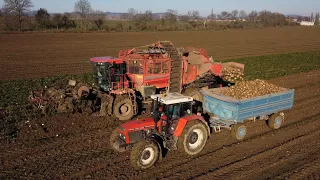 Zber repy Agro družstvo Trebatice // Holmer Terra Dos T3 // ZTS16245, Zetor16145, New Holland T8360