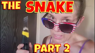 Death Valley Life #5B: The Snake That Got Loose In Our House, Part 2