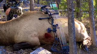 Best Archery Setup for Elk Hunting / Gear Review