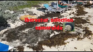 iberostar selection esmeralda/Инструкция по выживанию/Дьюти фри Кайо Коко/Экскурсии на островах