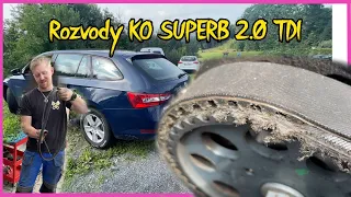 Jaké jsou škody prasklého řemenu na rozvodech? Škoda Superb 2.0 TDI díl 1 #bezkomprese #skoda