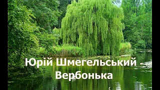 Юрій Шмегельський - Вербонька