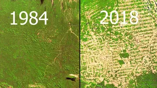 Deforestation Amazon Google Earth Timelapse