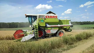 Aratás összefoglaló | 2023 | Claas Dominator 108 sl Maxi, Belarus 82.1-MBP6.5 |