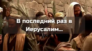 В ПОСЛЕДНИЙ РАЗ В ИЕРУСАЛИМ || стихи христианские 🙏🕊️