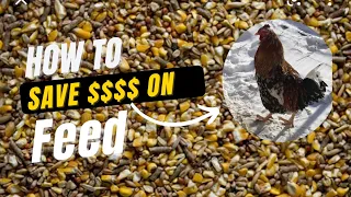 How we save over $4000 per year feeding our animals!!!!!