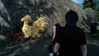 Where The Wild Chocobos Are - Dude, It's Me - Prompto Soundbite (Final Fantasy XV)