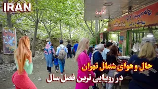 IRAN Walking in the North of Tehran in the Most Lovely Season of the Year ایران