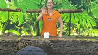 Loro Parque. loro que se llama Paco