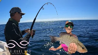 MANGROVE SNAPPER on the menu in Panama City (Catch, Clean, Cook)