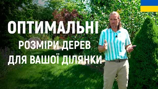 ЛАНДШАФТНИЙ ДИЗАЙН | ОПТИМАЛЬНІ РОЗМІРИ ДЕРЕВ ДЛЯ ВАШОГО САДУ