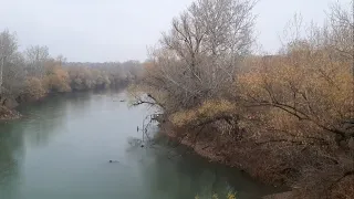 Train Crossing the River Prut Between Moldova and Romania