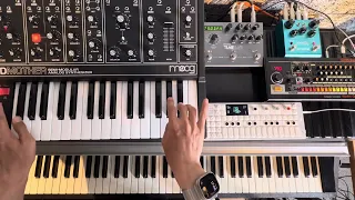 Chill funk performance with Rhodes MK2 / Grandmother / TR-08 | Move slowly 2024-05-15