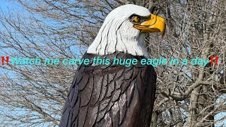 Chainsaw carving a 6ft eagle out of a 10ft stump in 8 hours!