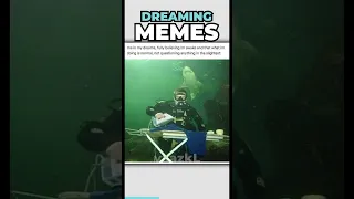 Memes About Dreaming Are Hilarious