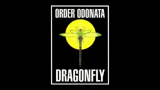 Order Odonata [Full compilation] Dragonfly Records (1994) [Goa Trance]