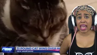 The Funniest Animal News Bloopers I've Seen This Year!!!