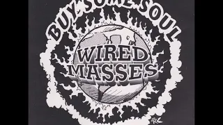 Wired Masses - "Buy Some Soul" (full recording) Michigan Alternative