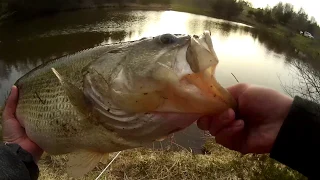 Catching my PB BASS in a TINY POND (youtube bass tournament)