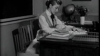 Lassie - Episode #31 - "The School" - Season 2, Ep. 5 - (10/9/1955)