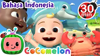 Lagu Hewan Laut | CoComelon Bahasa Indonesia - Lagu Anak Anak