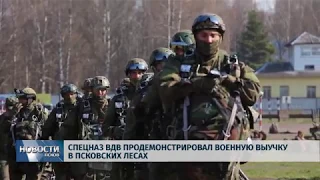 Новости Псков 23.04.2019 / Спецназ ВДВ продемонстрировал военную выучку в псковских лесах