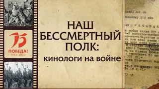 Наш бессмертный полк: кинологи на войне | «Ответственное собаководство онлайн»