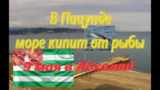 В Пицунде море кипит от рыбы! 9 мая в Абхазии! Аԥсны 2020г.