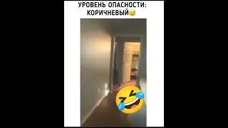 спешит в туалет🤣🤣🤣