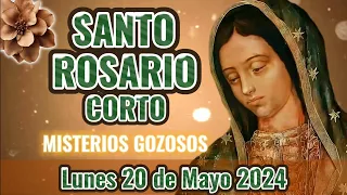Santo Rosario Corto de Hoy. Lunes 20 de Mayo 2024 Misterios Gozosos - Rosario