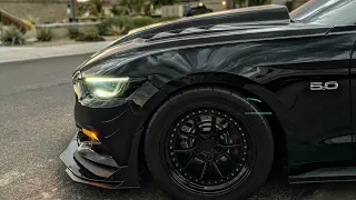 BEST POSSIBLE WHEEL SETUP!! ON A 2017 mustang gt!!! (1meancoyote)