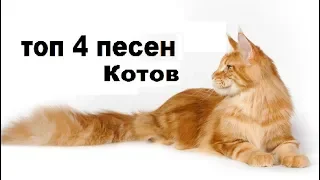 ТОП 4-ПЕСЕН КОТОВ МЯУУУ