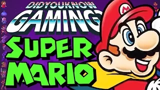 Super Mario World - Did You Know Gaming? Feat. JonTron