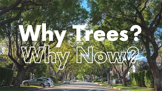 How to Keep Your Trees & Landscapes Thriving During the Drought