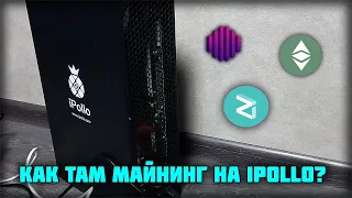 Доходность с майнинга на асиках ipollo v1 mini, x1, v1h