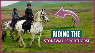 Riding the Stonewall Sporthorse!