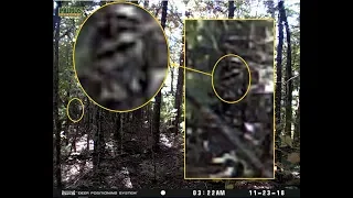 Bigfoot Captured On Trail Camera - October 2018