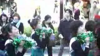 St. Patrick's Day Parade in Tokyo