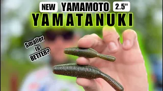 Yamamoto YAMATANUKI 2.5" is HERE!! How to Rig and Catch Fish.