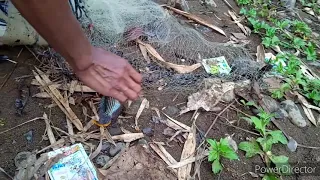 jala d sungai kering dapat ikan Kongo